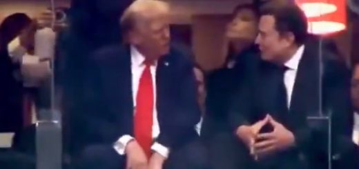 Auswirkungen Begegnung zwischen Trump und Musk